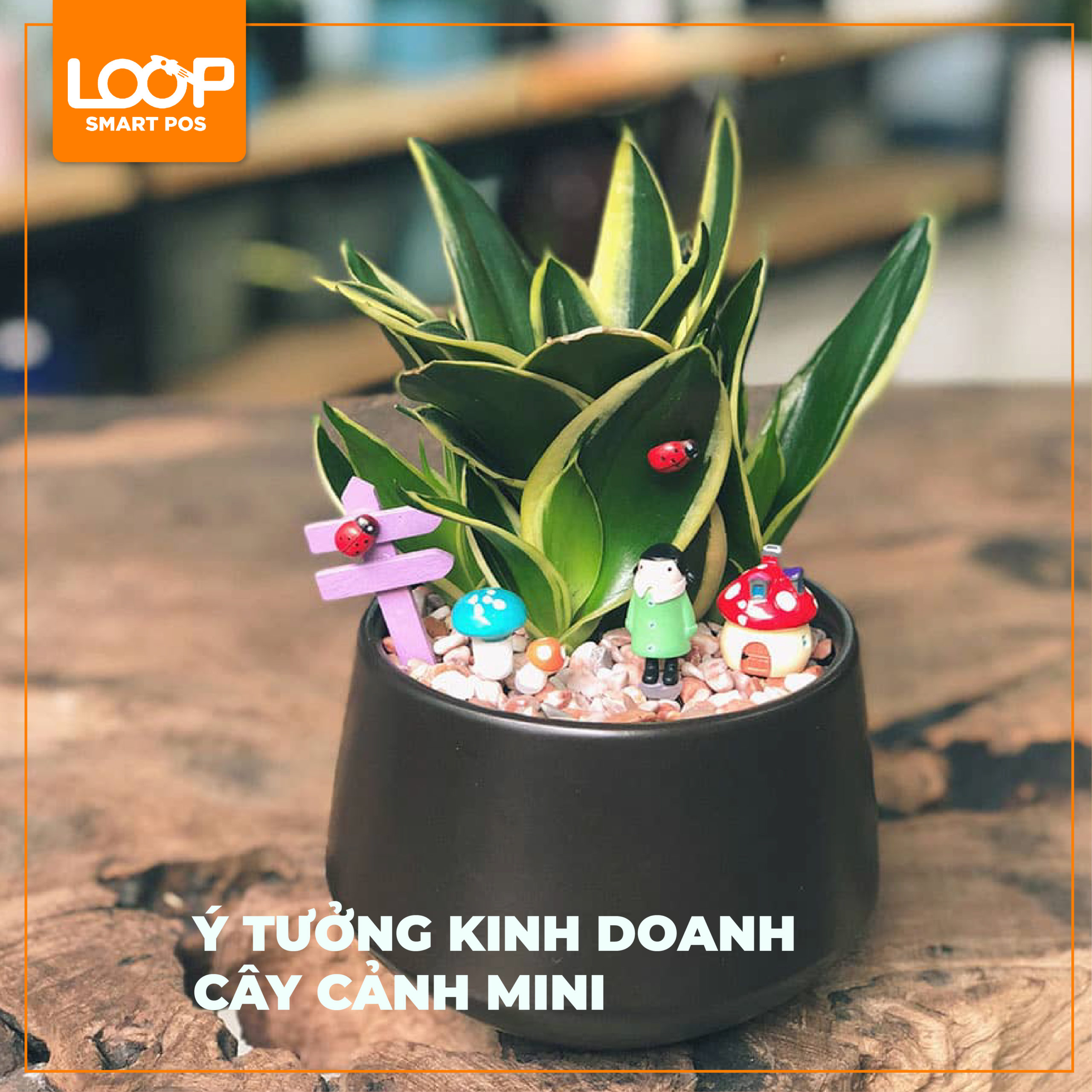 Ý Tưởng Kinh Doanh Cây Cảnh Mini: Con Đường Làm Giàu Nhanh Nhất