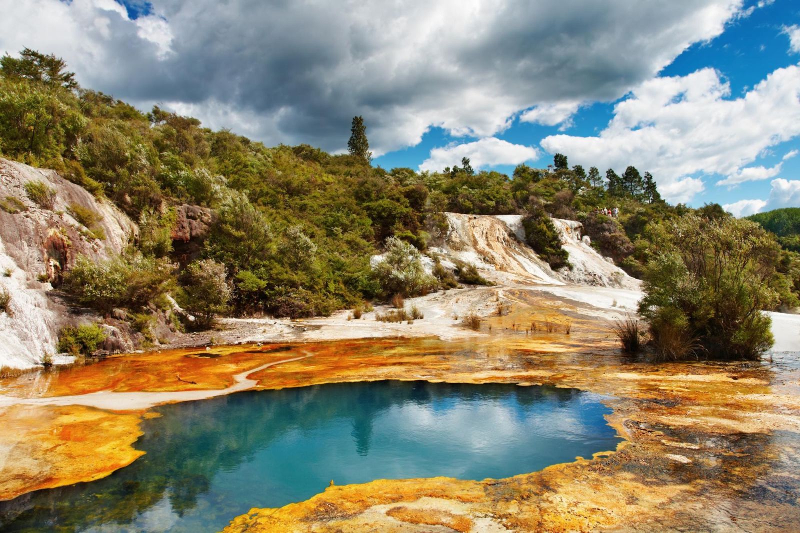 Rotorua - New Zealand - thành phố của những dải mây trắng
