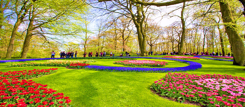 Top 10 lễ hội nổi tiếng tại Hà Lan - DU HỌC LIÊN KẾT TOÀN CẦU