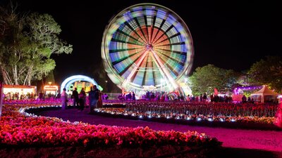 NightFest 2025 | Events Canberra