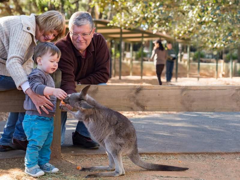 Vé Featherdale Wildlife Park Sydney - Klook Việt Nam