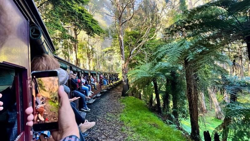 Puffing Billy Railway –Tàu lửa hơi nước trăm năm tuổi đáng đi nhất thế giới by Australia Review