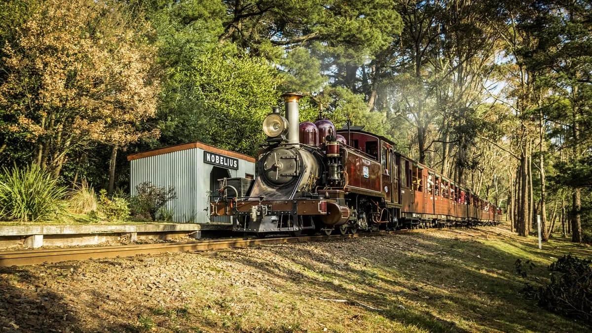 Vé tàu hơi nước Puffing Billy tại Melbourne | Pelago