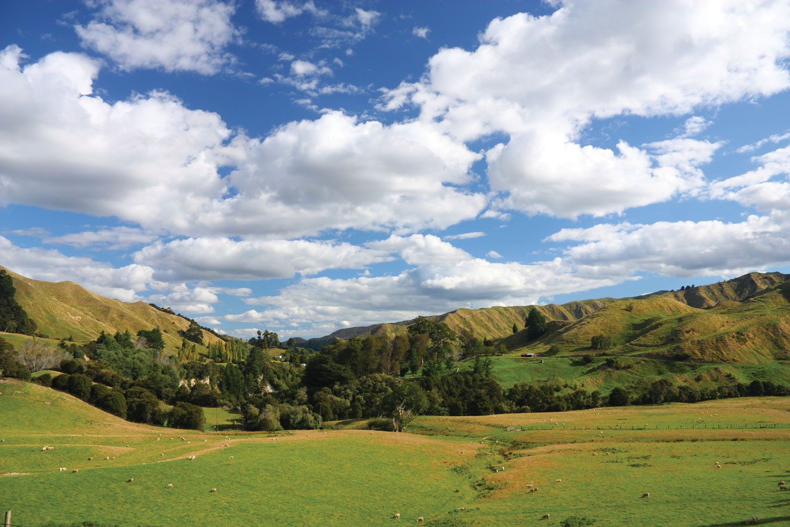 Manawatu-Whanganui | History & Facts | Britannica