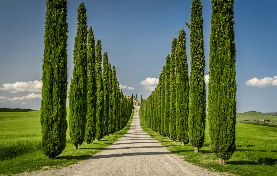 Tuscany